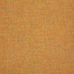 Sunbrella Essential Spark 16005-0011 The Pure Collection Upholstery Fabric