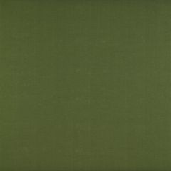 Gaston Y Daniela Recoletos Verde GDT5203-22 Madrid Collection Indoor Upholstery Fabric