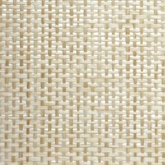 Winfield Thybony Paperweave WT WBG5112 Wall Covering