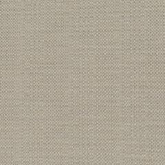 Perennials Raffia White Sands 210-270 Clodagh Collection Upholstery Fabric