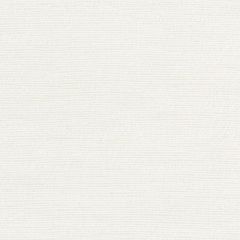 Perennials Fairhaven Sea Salt 972-124 Rose Tarlow Melrose House Collection Upholstery Fabric