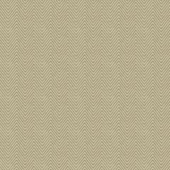 Kravet Basics Beige 4119-11 Drapery Fabric