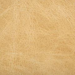 Kravet L-Haute Blonde Indoor Upholstery Fabric