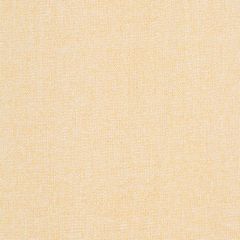Robert Allen Easy Tweed Sunray Tweedy Textures Collection Indoor Upholstery Fabric
