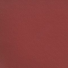 Olympus Paprika OLY225ADF Multipurpose Upholstery Fabric