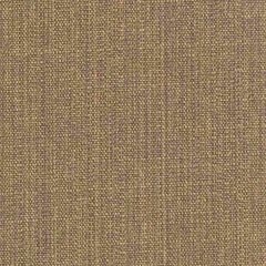 Tempotest Home Sand Copper 1041/54 Solids Collection Upholstery Fabric