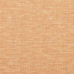 Kravet Smart 35518-12 Inside Out Performance Fabrics Collection Upholstery Fabric