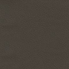 F. Schumacher Brisa Truffle 303-3913 Ultraleather Collection