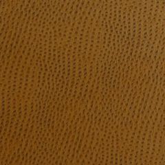 Kravet Ossy Brown 24 Indoor Upholstery Fabric