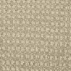 Robert Allen Linked Geo Twine 215248 Crypton Transitional Collection Indoor Upholstery Fabric