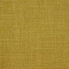 Robert Allen Tex Weave Gold 174509 Indoor Upholstery Fabric