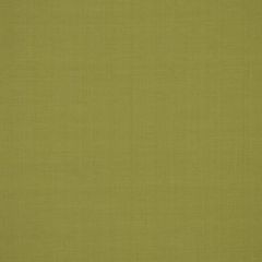 Robert Allen Zahara-Leek 193616 Decor Multi-Purpose Fabric