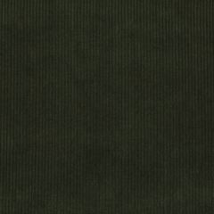Lee Jofa Saranac Cord Loden 2017121-30 Indoor Upholstery Fabric