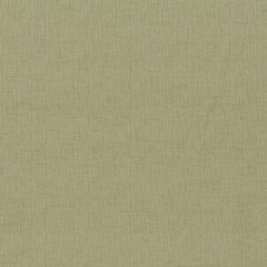 Robert Allen Comfy Tweed Lettuce 508750 Epicurean Collection Indoor Upholstery Fabric