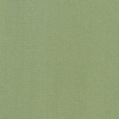 Robert Allen Stellar Solid Aloe 235931 Multipurpose Fabric