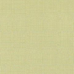 Duralee Wasabi DW16052-609 The Tradewinds Indoor-Outdoor Woven Collection  Upholstery Fabric