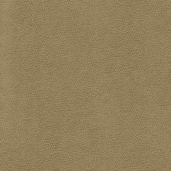 Kravet Ophidian Wheat 16 Indoor Upholstery Fabric