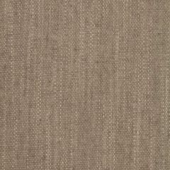Robert Allen Linen Canvas-Chalkboard 231330 Decor Upholstery Fabric
