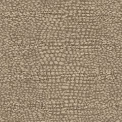 Kravet Thrill Allure 31932-16 by Candice Olson Indoor Upholstery Fabric