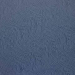 Kravet Design Blue Delaney 5 Indoor Upholstery Fabric