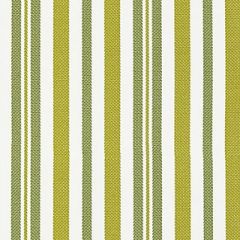 Scalamandre Santorini Stripe Palm SC 000227188 Isola Collection Upholstery Fabric