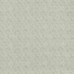 Threads Boundary Dove ED75042-3 Nala Prints Collection Multipurpose Fabric