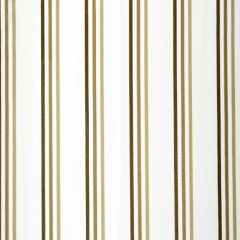 Beacon Hill Adriana Stripe Gold 242772 Silk Stripes and Plaids Collection Drapery Fabric
