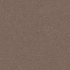 Lee Jofa Ultimate Fog 960122-621 Ultimate Suede Collection Indoor Upholstery Fabric