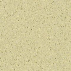 Kravet Chalcedony Gold 34132-4 by Candice Olson Indoor Upholstery Fabric