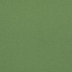 GP and J Baker Kit's Linen Green 11066-735 Kit Kemp  Collection Multipurpose Fabric