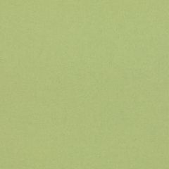 GP and J Baker Kit's Linen Spring Green 11066-760 Kit Kemp  Collection Multipurpose Fabric