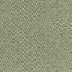 GP and J Baker Hopton Green 11086-735 Burford Weaves II Collection Indoor Upholstery Fabric