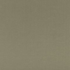 GP and J Baker Eldon Linen Sage 11087-790 Baker House Linen II Collection Multipurpose Fabric