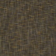 Robert Allen Contract Befitting Baltic 247777 Natural Textures Collection Drapery Fabric