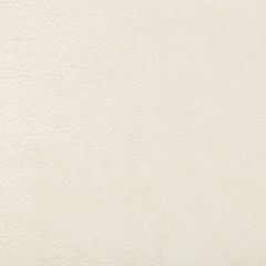 Kravet Design Beholder 1 Indoor Upholstery Fabric