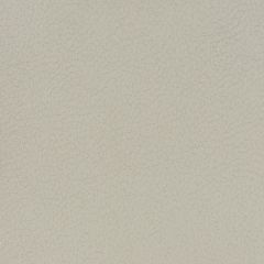Kravet Design Grey Genslar 1121 Ultraleather Plus IV Collection Indoor Upholstery Fabric