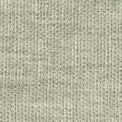 Endurepel Shaffer Gainsboro 902 Indoor Upholstery Fabric