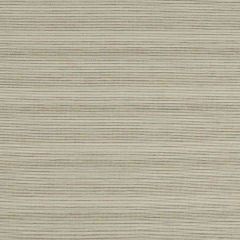 Robert Allen Touch of Glitz Truffle 508702 Epicurean Collection Indoor Upholstery Fabric