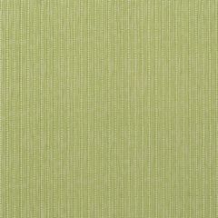 Lee Jofa Wickham Lime Bfc-3678-314 Blithfield Collection Indoor Upholstery Fabric