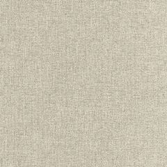 Boris Kroll Spencer Chenille Taupe BK 0002K65117 Calypso - Crypton Home Collection Contract Indoor Upholstery Fabric