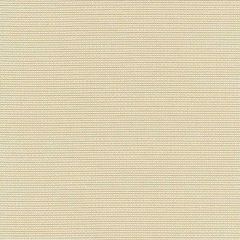 Boris Kroll Cortland Weave Sand BK 0002K65119 Calypso - Crypton Home Collection Contract Indoor Upholstery Fabric