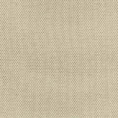 Boris Kroll Berkshire Weave Fawn BK 0004K65115 Calypso - Crypton Home Collection Contract Indoor Upholstery Fabric