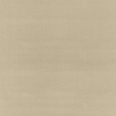 Boris Kroll Richmond Velvet Latte BK 0004K65122 Calypso - Crypton Home Collection Contract Indoor Upholstery Fabric