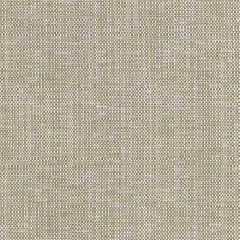 Boris Kroll Chester Weave Cocoa BK 0005K65118 Calypso - Crypton Home Collection Contract Indoor Upholstery Fabric
