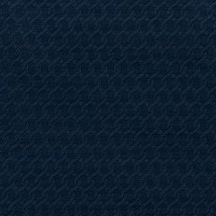 Boris Kroll Chain Weave Navy BK 0005K65120 Calypso - Crypton Home Collection Contract Indoor Upholstery Fabric