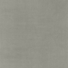 Boris Kroll Richmond Velvet Nickel BK 0011K65122 Calypso - Crypton Home Collection Contract Indoor Upholstery Fabric
