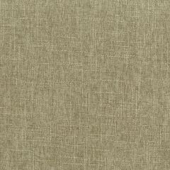 ABBEYSHEA Beach 64 Putty Indoor Upholstery Fabric