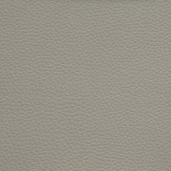 Kravet Contract Boone Chinchilla 1611 Foundations / Value Collection Indoor Upholstery Fabric