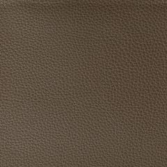 Kravet Contract Boone Cocoa 606 Foundations / Value Collection Indoor Upholstery Fabric