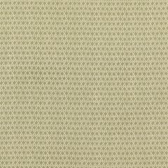 GP And J Baker Merrin Green BP10889-4 Chifu Collection Multipurpose Fabric